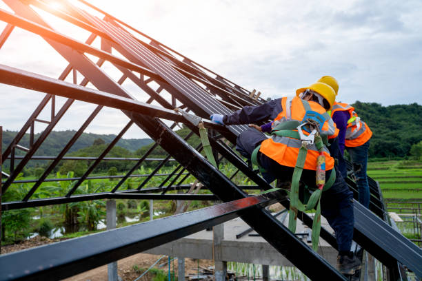 Best Roof Gutter Cleaning  in El Jon, CA