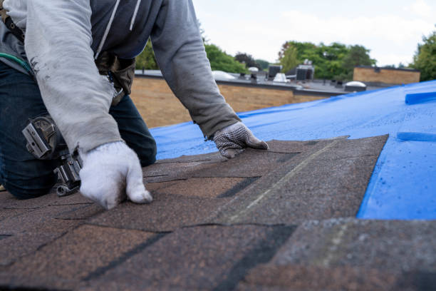 Best Emergency Roof Repair  in El Jon, CA