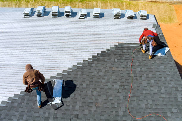 Best Roof Maintenance Services  in El Jon, CA
